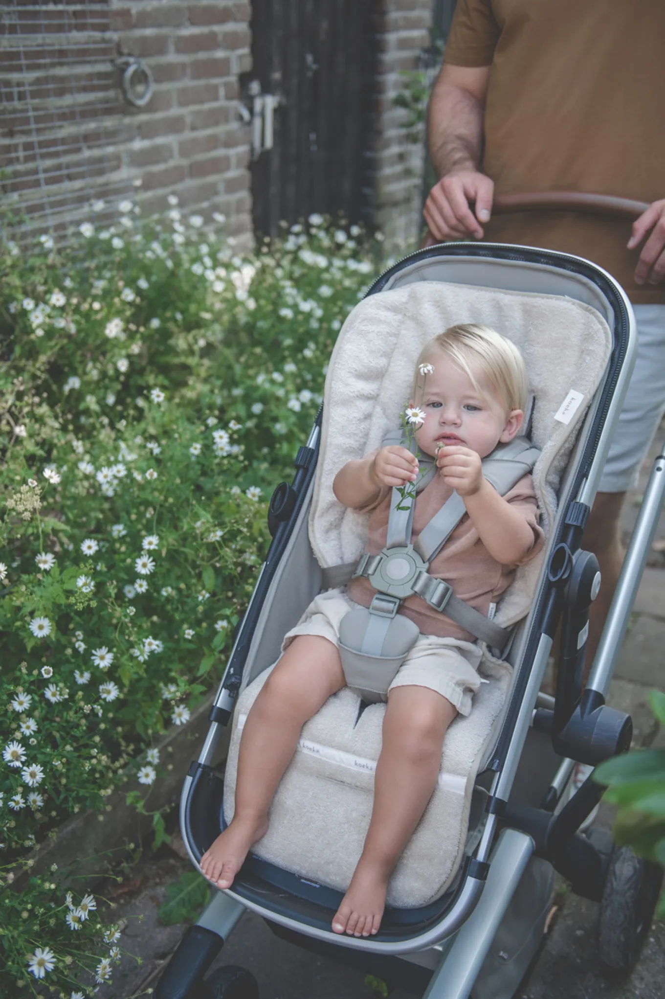 Buggy Inlegkussen Dijon Daily Sand